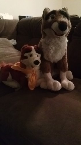 my_balto_plushies_by_bounceydabest-d6e6a97.jpg