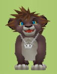 Lion Sora's Portrait