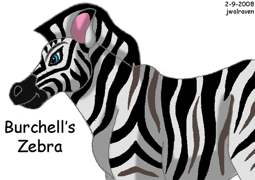 King zebra. Зебра из пластилина. Зебра Король Лев. Набор пластилина Зебра.