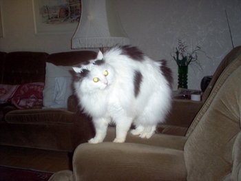 Miina.jpg