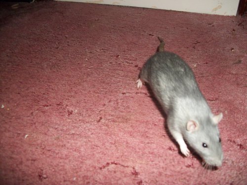 100_3719.JPG