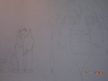 TLK lion.jpg