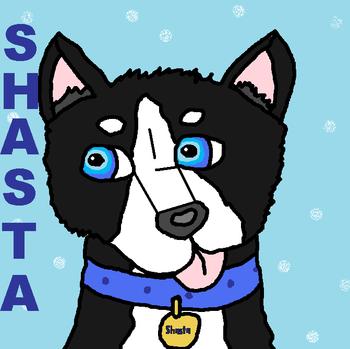 Shasta avvie.png