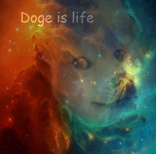 doge.jpg