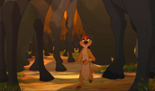Timon4654.png