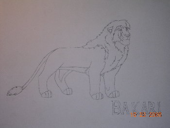 Bakari 001.jpg