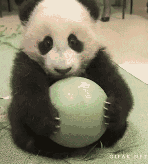 mine....MINE!.gif