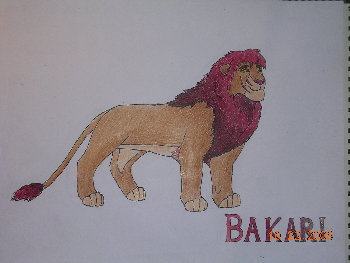 Bakari 002.jpg