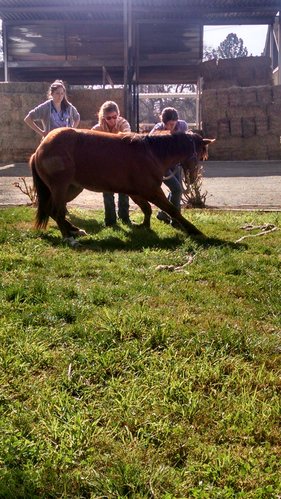 help im on drugs.jpg