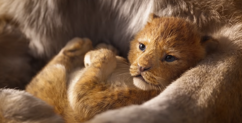 newbornsimba.png