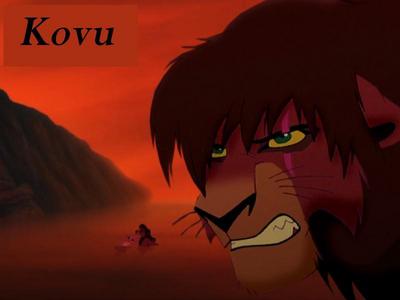 kovu2.jpg