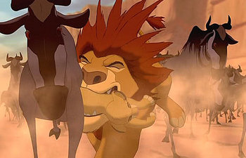 Mufasa's Mane.jpg
