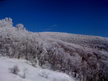 tremblant 003.JPG