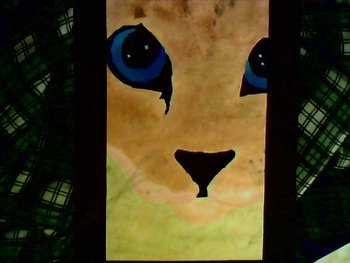 cat portrait.jpg