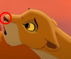 Picture 2.png