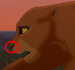 Picture 1.png