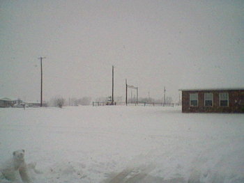 HNI_0077.JPG