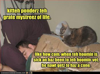 funny-pictures-cat-ponders-mysteries.jpg
