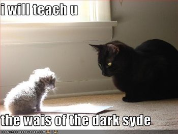 funny-pictures-basement-cat-teaches-kitten.jpg