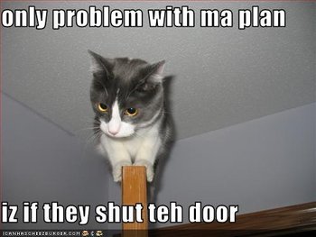 funny-pictures-cat-has-a-plan.jpg