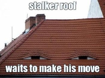 stalkerroof.jpg