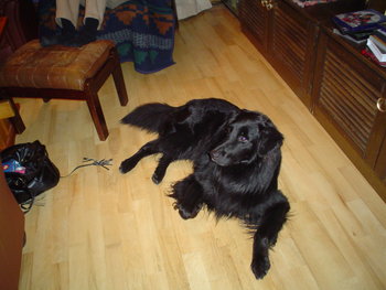 LL 045.jpg