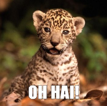 ohhai!.jpg