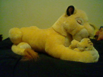 Sarabi plushie.JPG