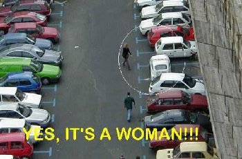 suckyfemaledriver.jpg