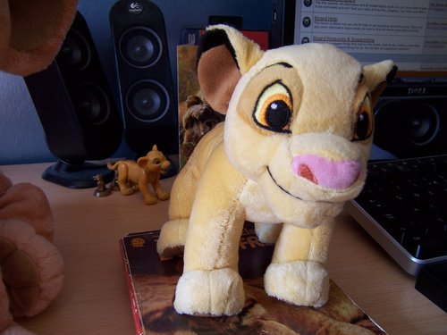 MiniSimba.jpg
