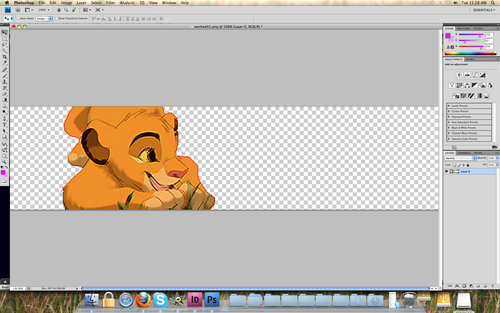 Screen shot 2010-04-27 at 11.28.10 AM.png