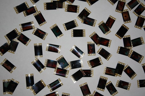 35mm Film Clippings.jpg