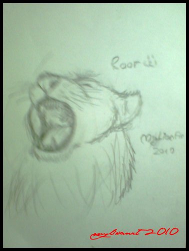 IMG0607A.jpg