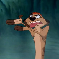timon spazz.png