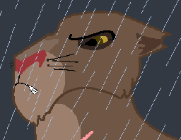 Picture 1.png