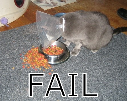 fail~1.jpg