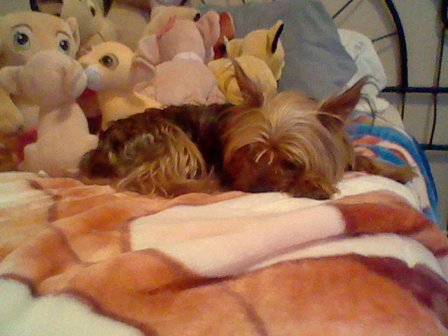 Bently.JPG