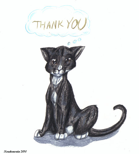 ThankfulKitty.jpg
