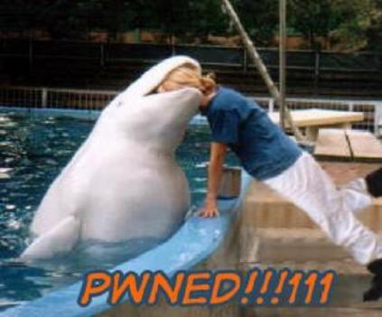 pwned-thumb.jpg