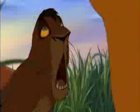 Kovu funny.JPG