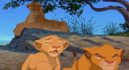 Simba farted.PNG