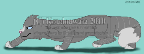 Silentbreezewatermark.jpg