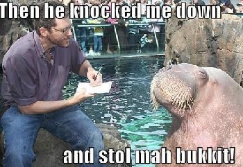 knockedmedownandstolemybucket.jpg
