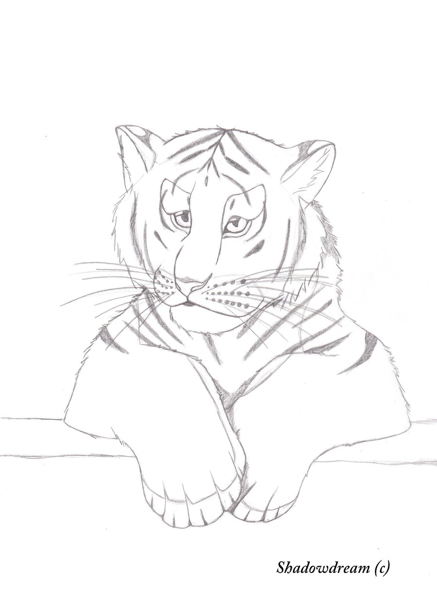 tiger_cub_by_shadowdream_kaoru-d2y8ysv.jpg