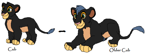 BanditCub-OlderCub.png