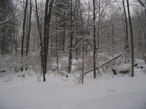 winter 001.JPG