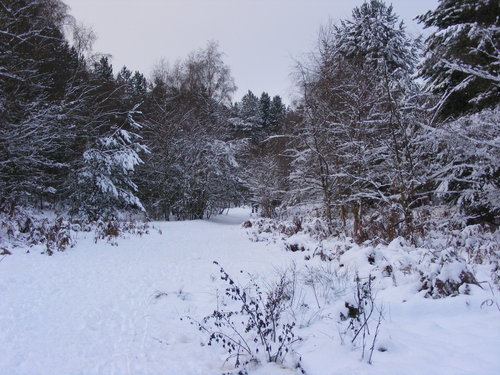 BowBrickhill 006.JPG