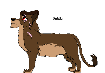 Saidia.PNG