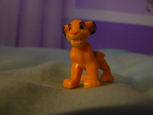 Lion King Pics 068.JPG