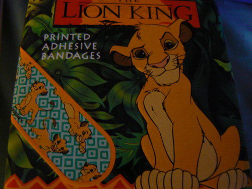 Lion King Pics 063.JPG